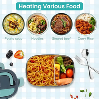 Electric Dual Function Heating Lunchbox